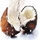 Ce stim si ce nu stim despre nuca de cocos?