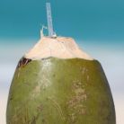 7 motive sa bei apa de cocos