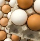 6 idei de folosit oul