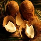 Nuca de cocos da savoare mancarii