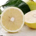 Bergamota, fructul citric care ajuta la slabit