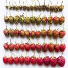 FOTO Arta culinara: curcubeie din fructe si legume