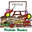 Proteinele in alimentatie