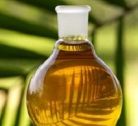 Pericolele din uleiul de palmier