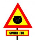 Mituri despre gripa porcina