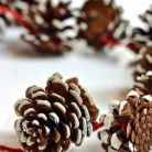 10 idei de ornamente pentru Craciun pe care le poti face acasa